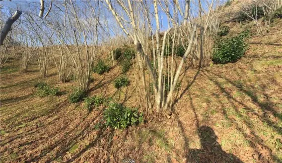 Продам земельный участок 1534м² Batumi