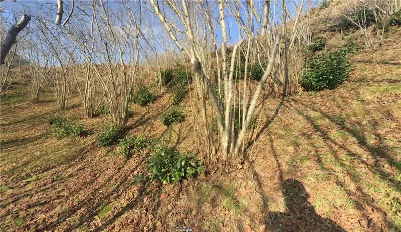 Продам земельный участок 1534м² Batumi - photo 5