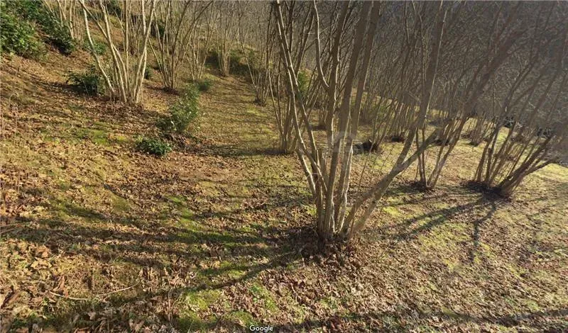 Продам земельный участок 1534м² Batumi - photo 7