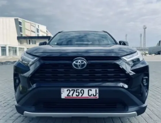 Toyota RAV4 2.5L 2024 Тбилиси