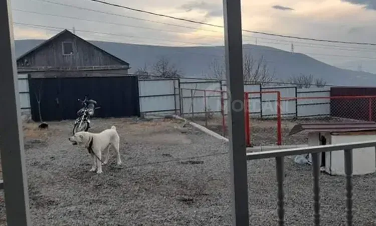 Ქირავდება 4 ოთახიანი სასტუმრო მუხიანში თბილისი - photo 10