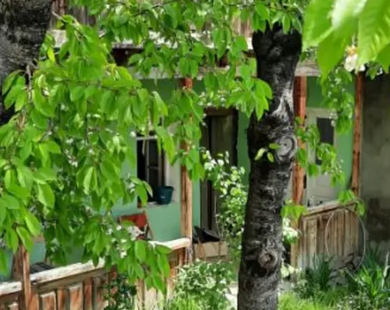 Country house for sale 550м² Mckheta