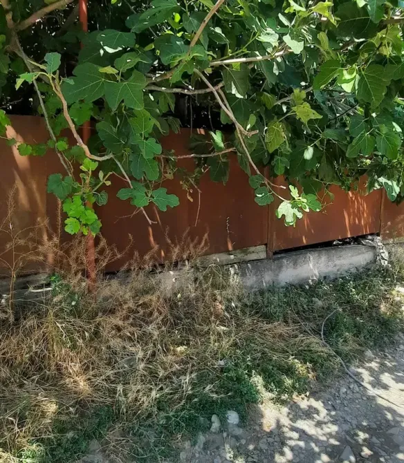 House for sale 1700м² Kaspi - photo 11