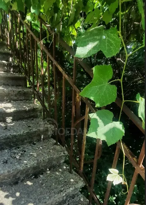 House for sale 1700м² Kaspi - photo 12