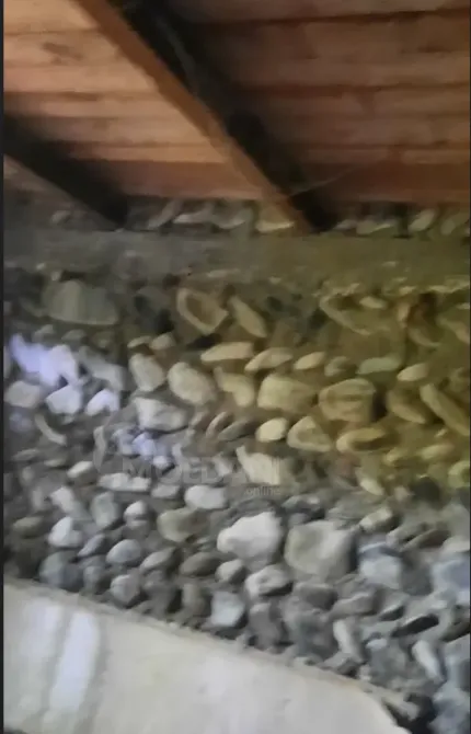 House for sale 1700м² Kaspi - photo 10