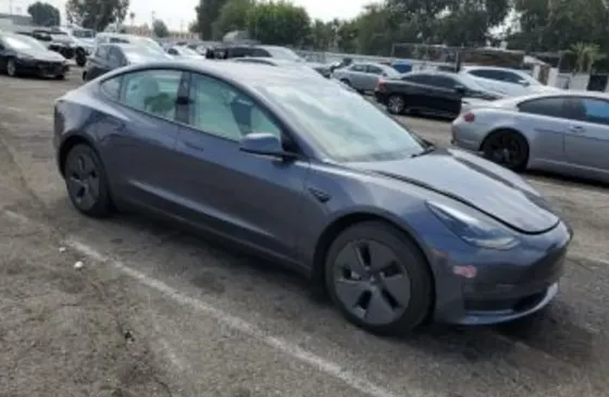 Tesla Model 3 2023 Тбилиси