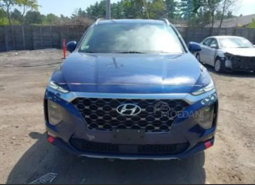 Hyundai Santa Fe 2019 თბილისი - photo 2