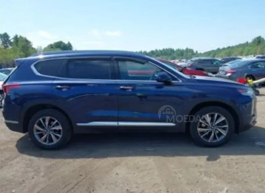 Hyundai Santa Fe 2019 თბილისი - photo 3
