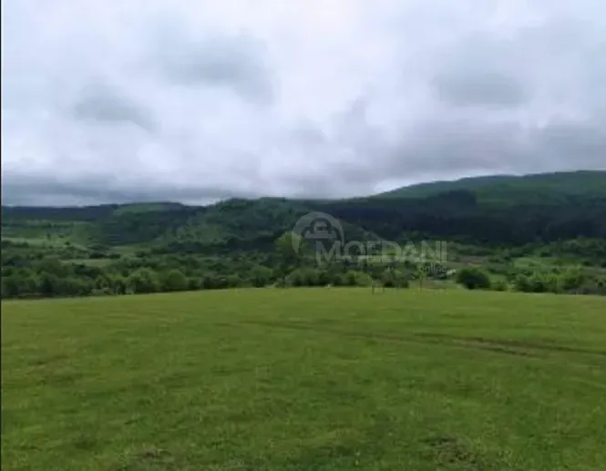 Продам земельный участок 600м² Hashuri - photo 1