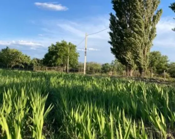 Продам земельный участок 1700м² Mckheta