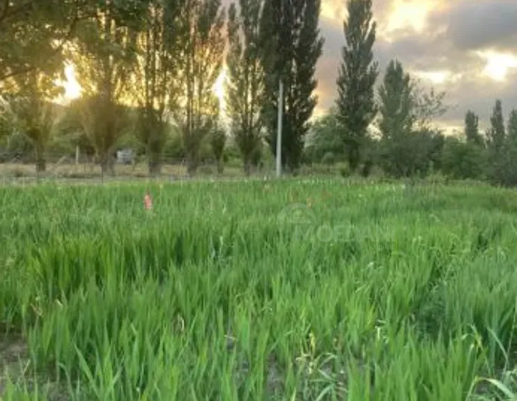 Продам земельный участок 1700м² Mckheta - photo 1