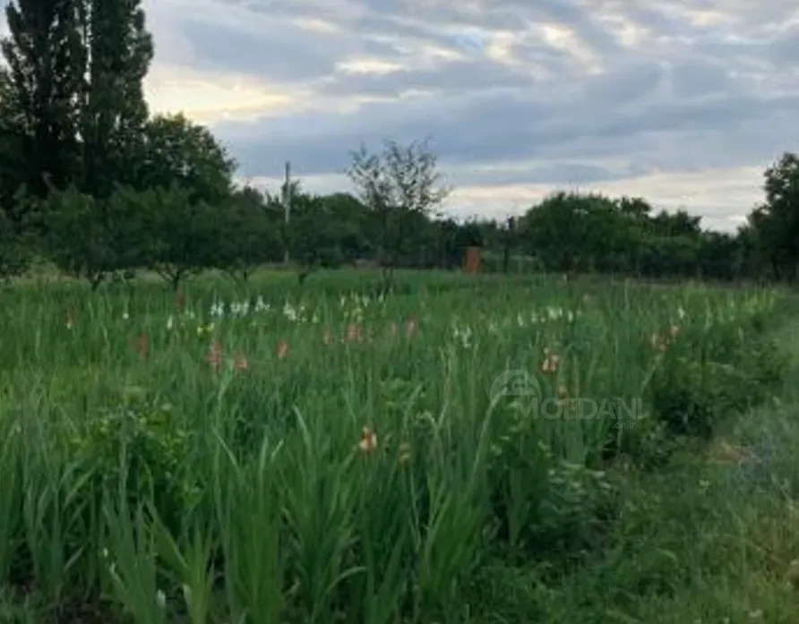 Продам земельный участок 1700м² Mckheta - photo 6