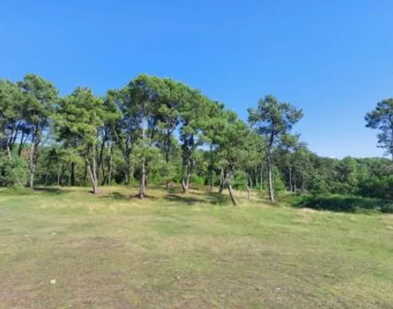 Продам земельный участок 3200м² Ozurgeti - photo 6