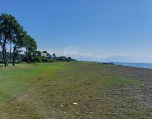 Продам земельный участок 3200м² Ozurgeti - photo 4