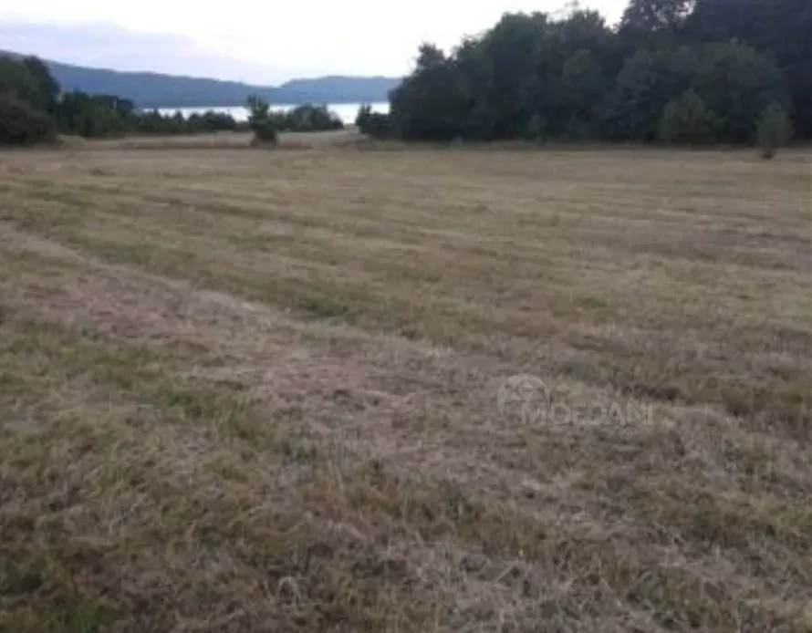 Продам земельный участок 300м² Ambrolauri - photo 1