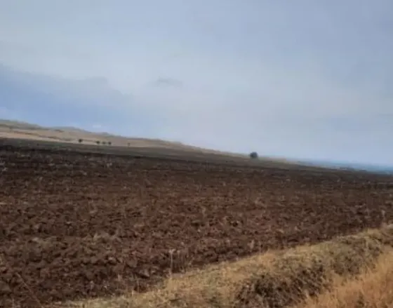 Продам земельный участок 50000м² Marneuli