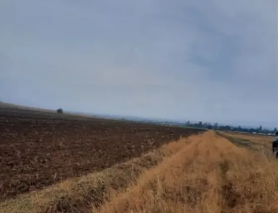 Продам земельный участок 50000м² Marneuli