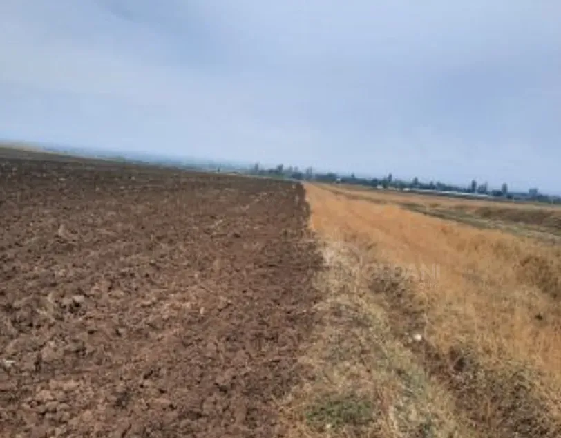 Продам земельный участок 50000м² Marneuli - photo 1