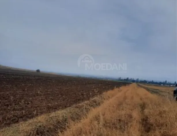 Продам земельный участок 50000м² Marneuli - photo 3