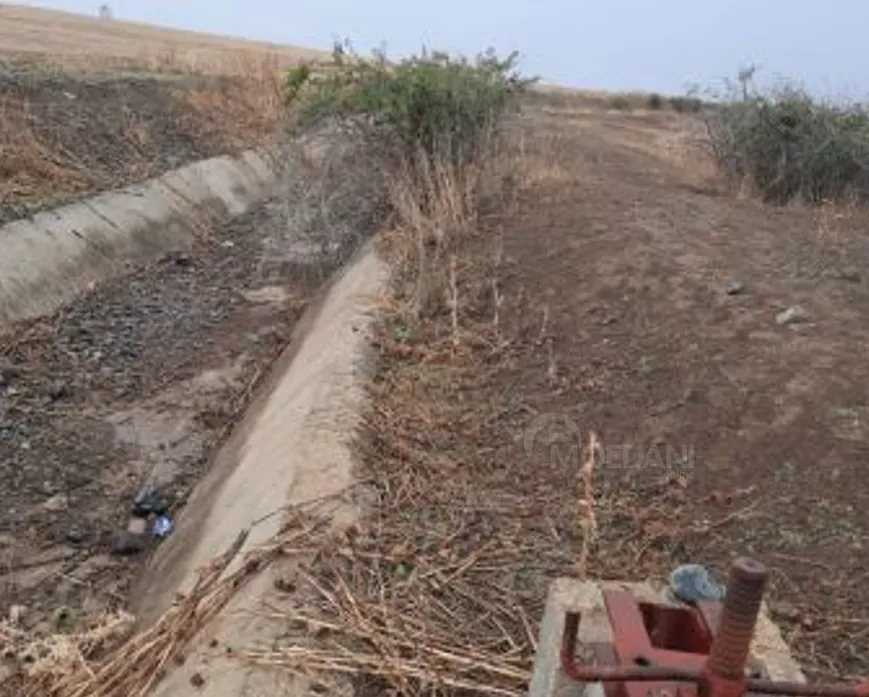 Продам земельный участок 50000м² Marneuli - photo 4