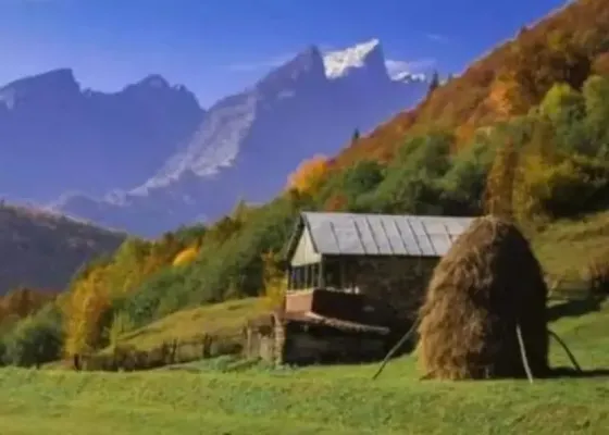 Продам земельный участок 7000м² Oni