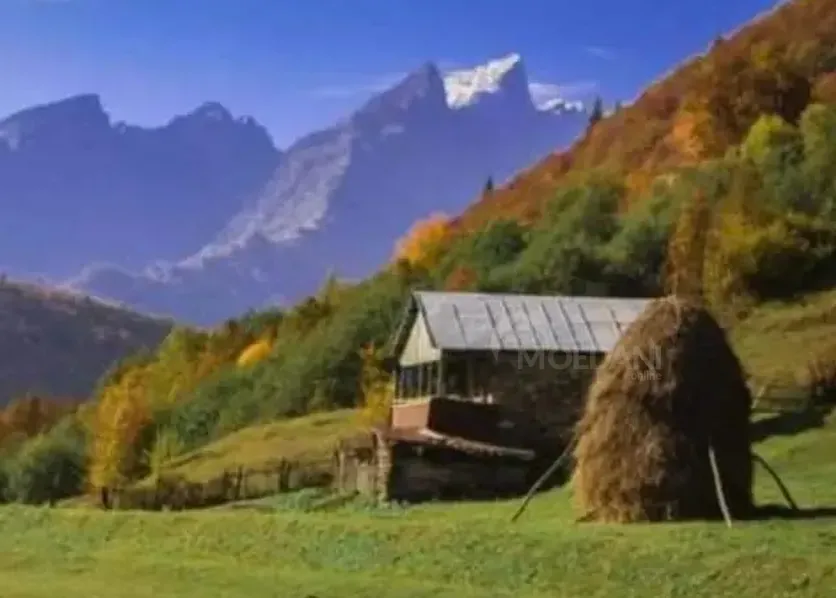 Продам земельный участок 7000м² Oni - photo 1