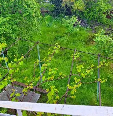 House for sale 577м² Signahi