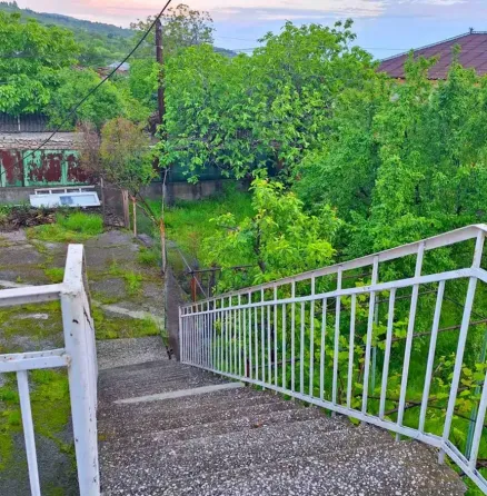 House for sale 577м² Signahi