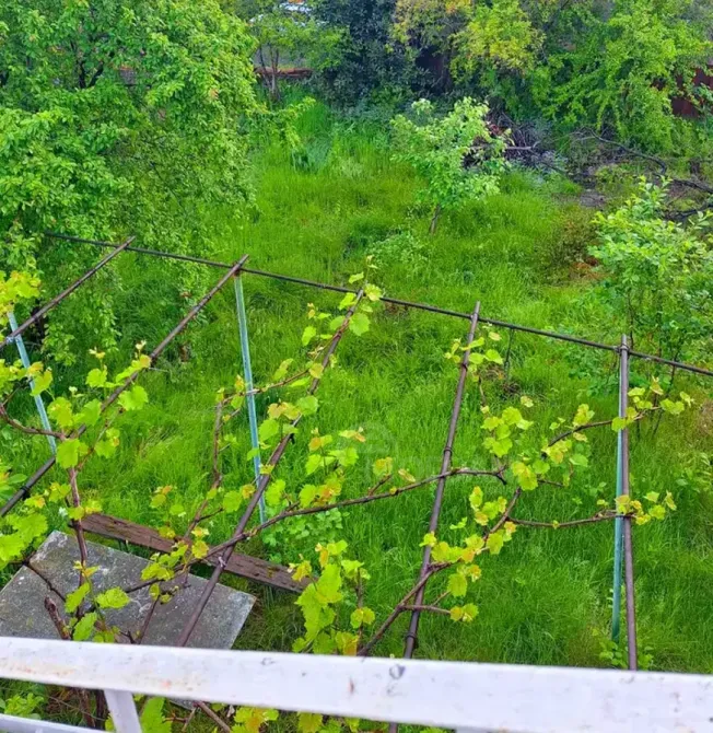 House for sale 577м² Signahi - photo 5