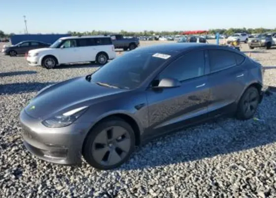 Tesla Model 3 2023 Тбилиси