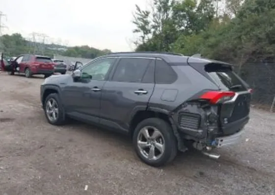 Toyota RAV4 2.5L 2020 Тбилиси