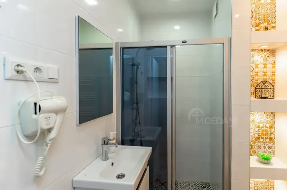 ქირავდება 1 ოთახიანი ბინა დღიურად თბილისში  35მ² 8/8 სართ თბილისი - photo 5