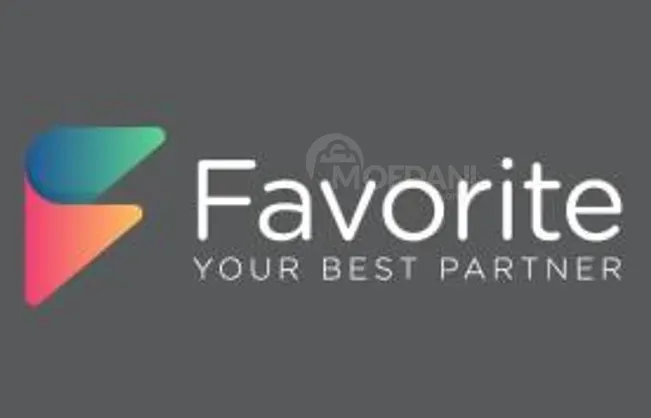 Домохозяйка Тбилиси - изображение 1