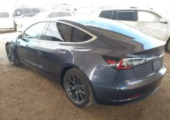 Tesla Model 3 2020 Тбилиси