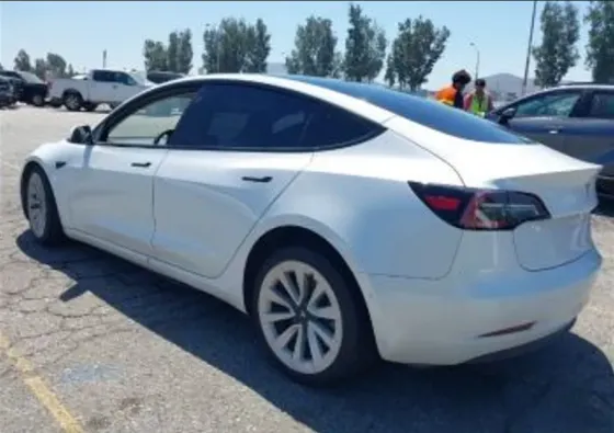 Tesla Model 3 2021 Тбилиси