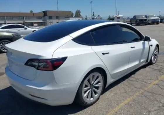 Tesla Model 3 2021 Тбилиси