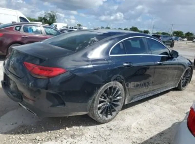 Mercedes CLS 3L 2019 თბილისი - photo 3