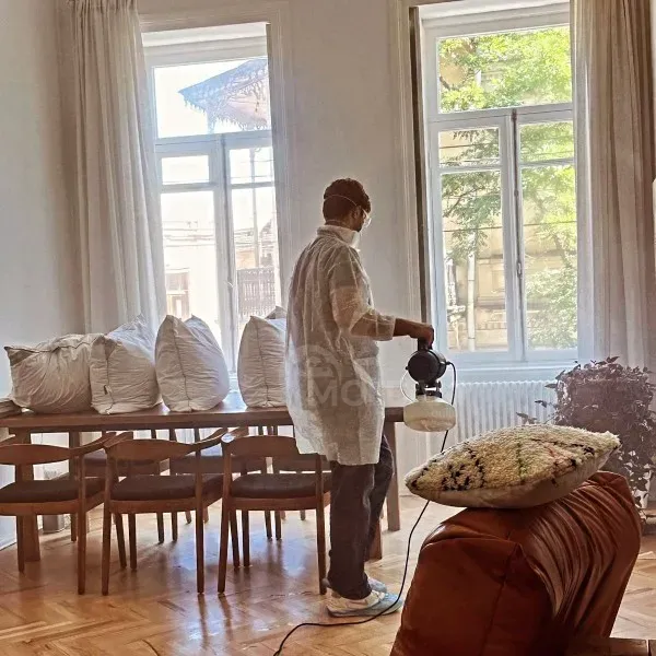 დეზინსექცია თბილისი - photo 2