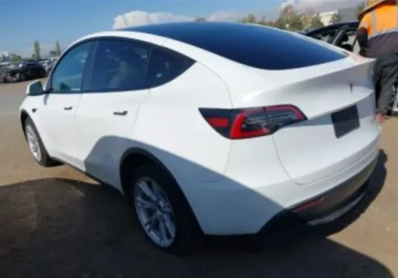 Tesla Model Y 2021 Тбилиси