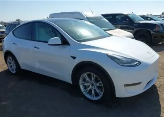 Tesla Model Y 2021 Тбилиси