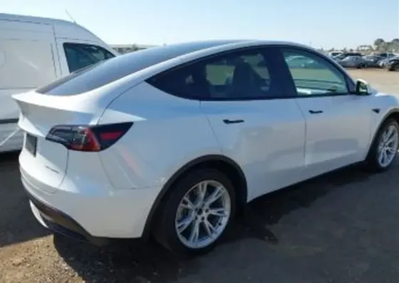 Tesla Model Y 2021 Тбилиси