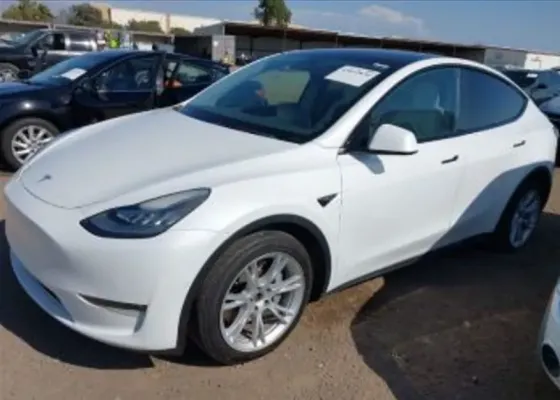 Tesla Model Y 2021 Тбилиси