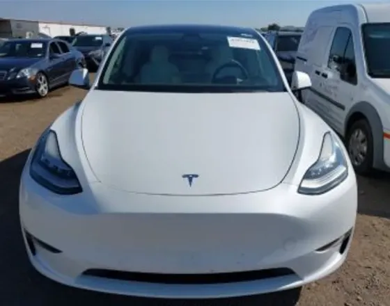 Tesla Model Y 2021 Тбилиси