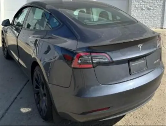 Tesla Model 3 2019 Тбилиси