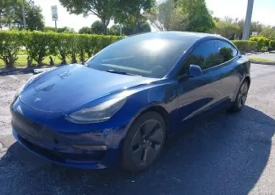 Tesla Model 3 2022 Тбилиси