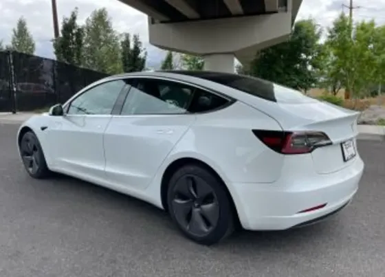 Tesla Model 3 2020 Тбилиси