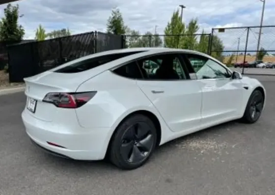 Tesla Model 3 2020 Тбилиси