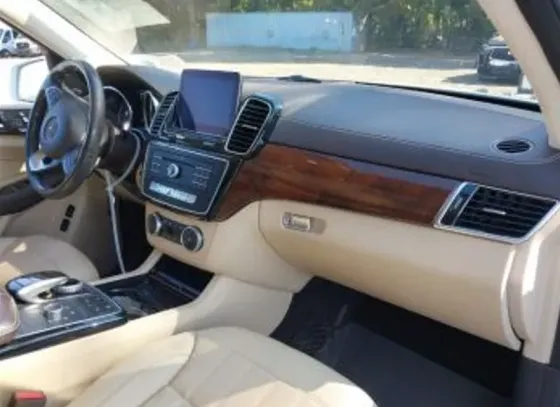 Mercedes GLS 3L 2019 Тбилиси