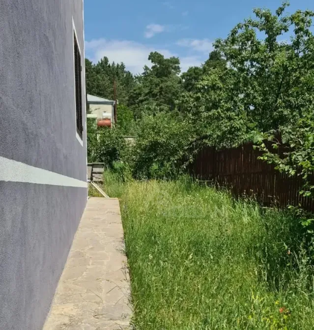 House for sale 700м² Tetri-ckaro - photo 10