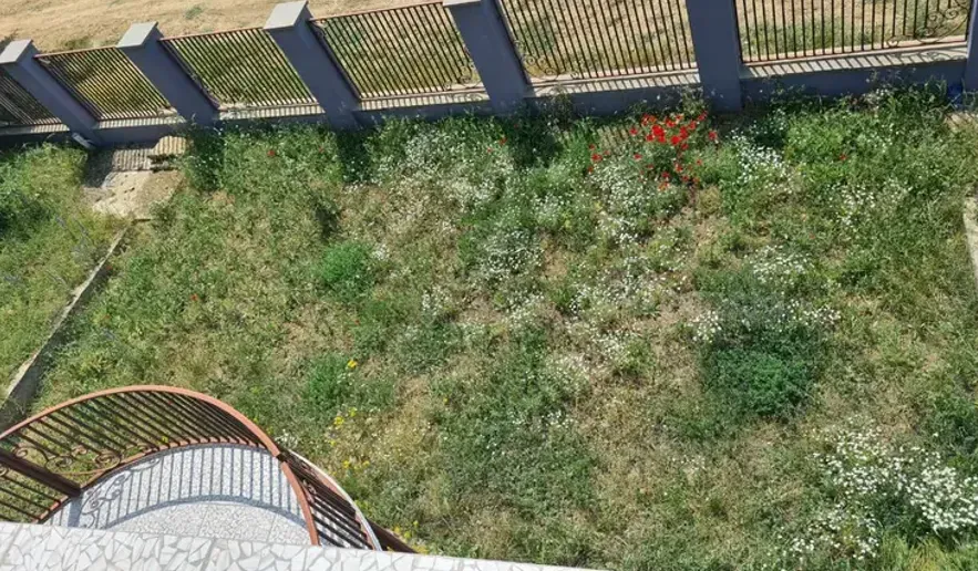 House for sale 700м² Tetri-ckaro - photo 7